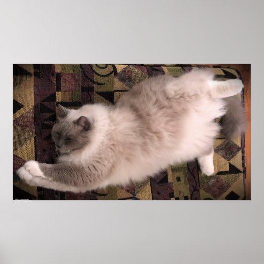 Tage, Poster (Vorne)