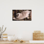 Tage, Poster (Küche)