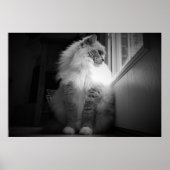 Tage, Poster (Vorne)