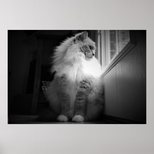 Tage, Poster (Vorne)