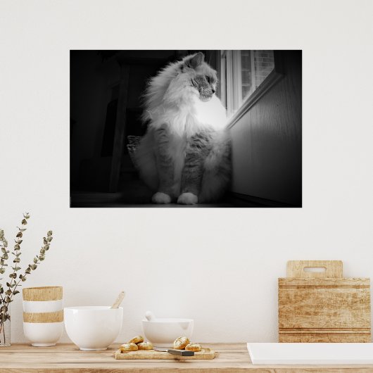 Tage, Poster (Küche)