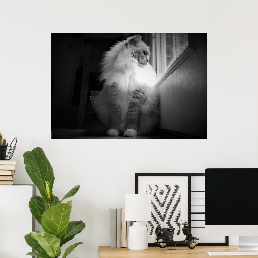 Tage, Poster (Heimbüro)