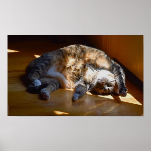 Tage, Poster (Vorne)