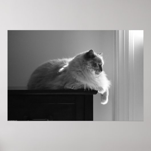 Tage, Poster (Vorne)