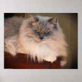 Tage, Poster (Vorne)