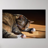 Tage, Poster (Vorne)