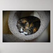 Tage, Poster (Vorne)