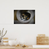 Tage, Poster (Küche)