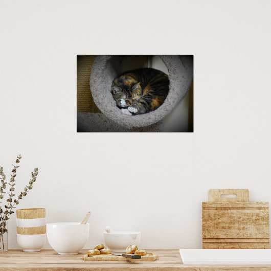 Tage, Poster (Küche)