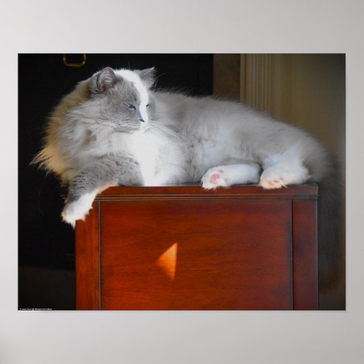 Tage, Poster (Vorne)