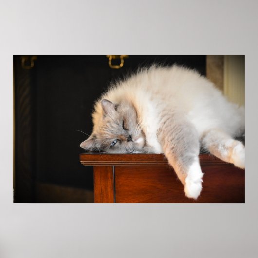 Tage, Poster (Vorne)