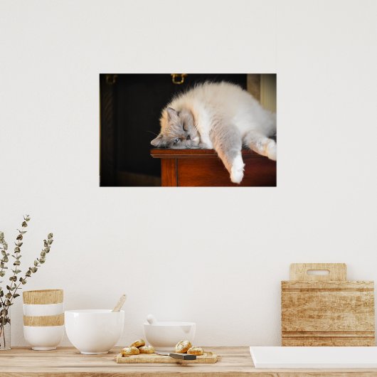 Tage, Poster (Küche)