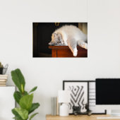 Tage, Poster (Heimbüro)