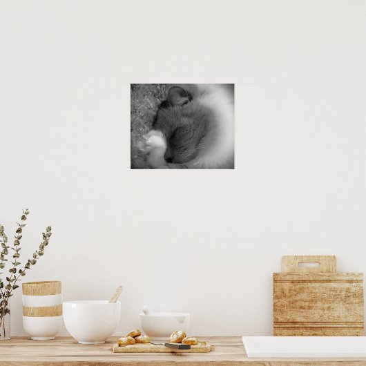 Tage, Poster (Küche)