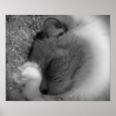 Tage, Poster (Vorne)