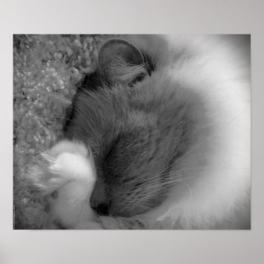 Tage, Poster (Vorne)