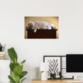 Tage, Poster (Heimbüro)