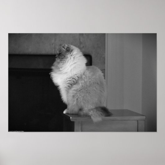 Tage, Poster (Vorne)