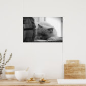 Tage, Poster (Küche)