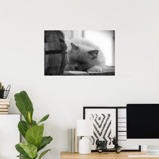 Tage, Poster (Heimbüro)