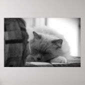 Tage, Poster (Vorne)