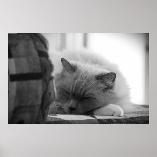 Tage, Poster (Vorne)