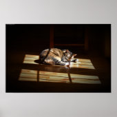 Tage, Poster (Vorne)