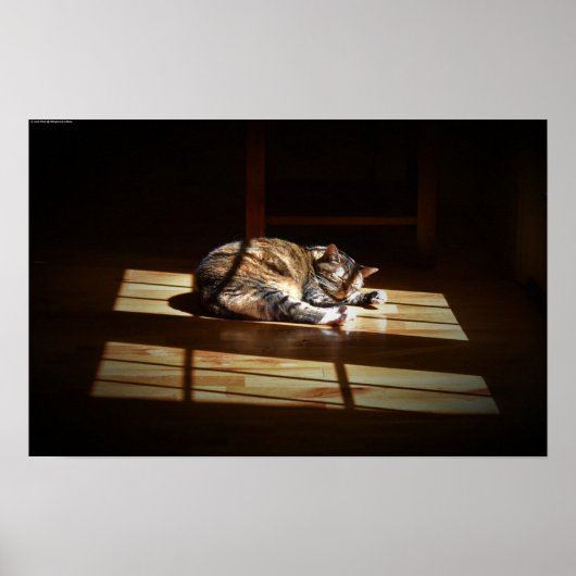 Tage, Poster (Vorne)