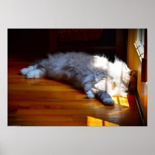 Tage, Poster