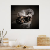 Tage, Poster (Küche)