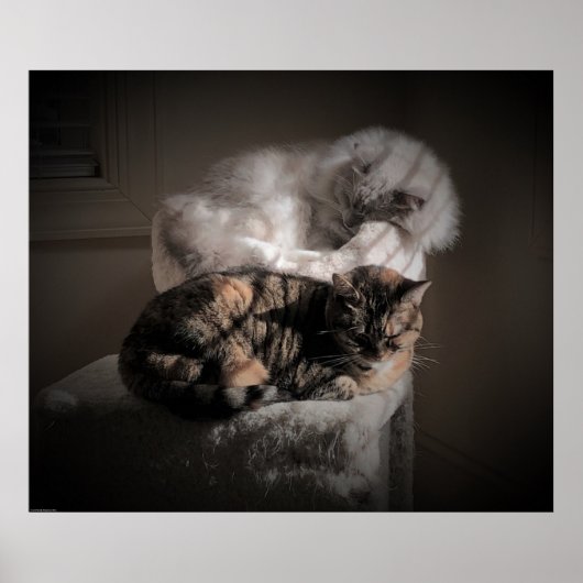 Tage, Poster (Vorne)