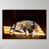 Tage, Poster (Vorne)