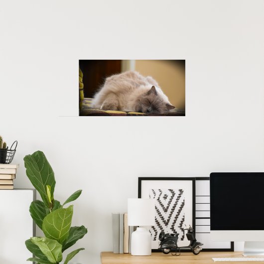 Tage, Poster (Heimbüro)