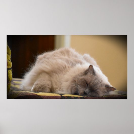 Tage, Poster (Vorne)