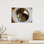 Tage, Poster (Küche)