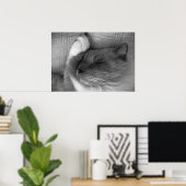 Tage, Poster (Heimbüro)