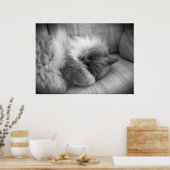 Tage, Poster (Küche)