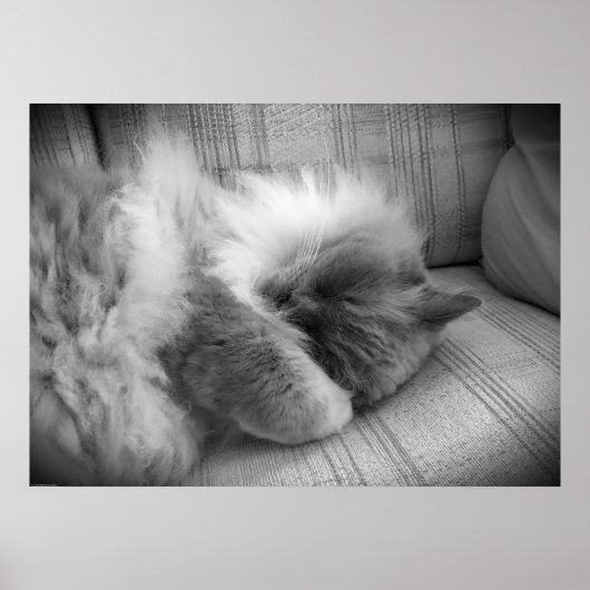 Tage, Poster (Vorne)