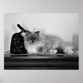 Tage, Poster (Vorne)