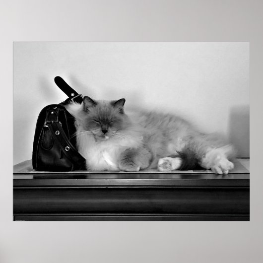 Tage, Poster (Vorne)