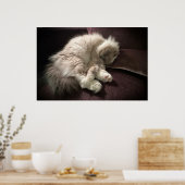 Tage, Poster (Küche)