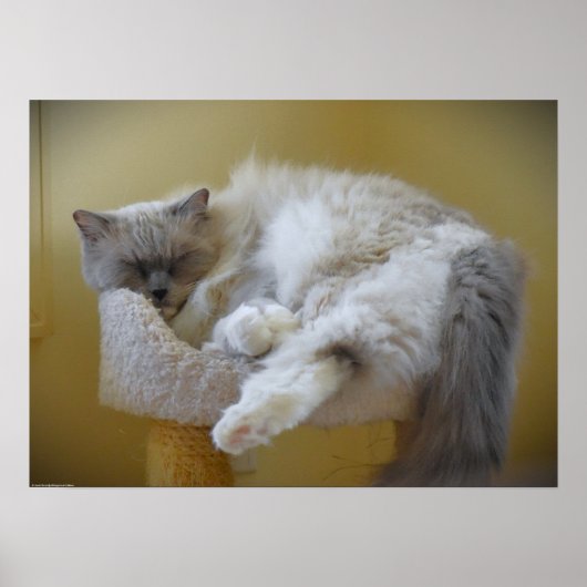 Tage, Poster (Vorne)