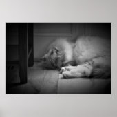 Tage, Poster (Vorne)