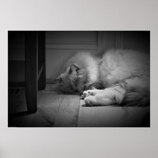 Tage, Poster (Vorne)