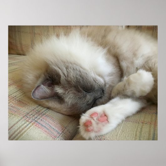 Tage, Poster (Vorne)