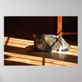 Tage, Poster (Vorne)