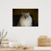 Tage, Poster (Küche)