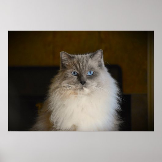 Tage, Poster (Vorne)