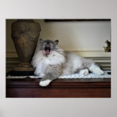 Tage, Poster (Vorne)