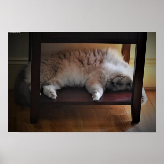 Tage, Poster (Vorne)